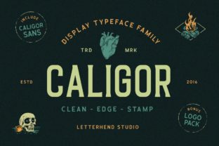 Caligor: A Distinctive Display Typeface for Digital Branding