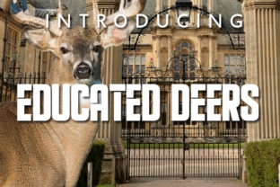Educated Deers: A Bold Display Font for Impactful Campaigns