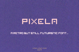 Pixela: A Charming Display Font for Small Business Branding